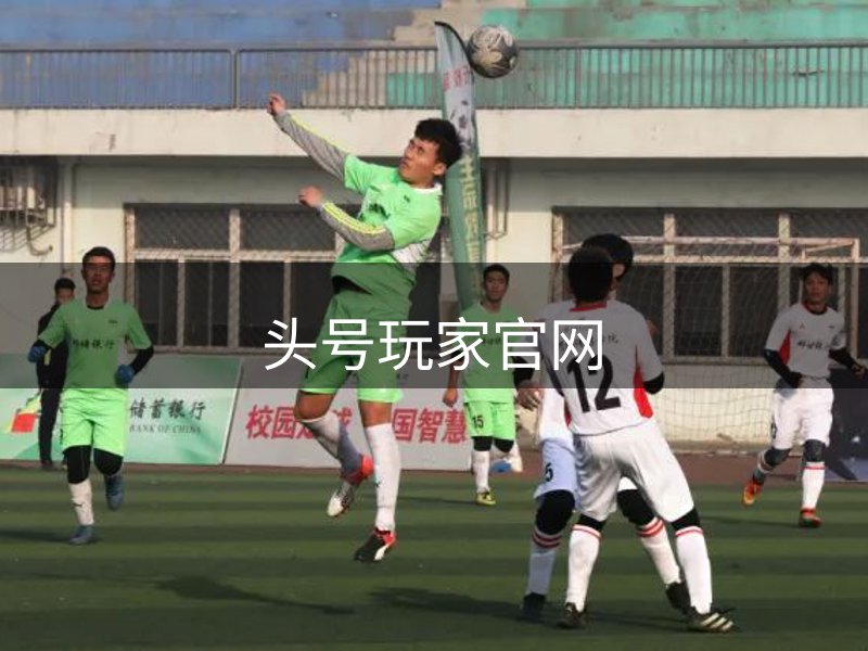 网站介绍